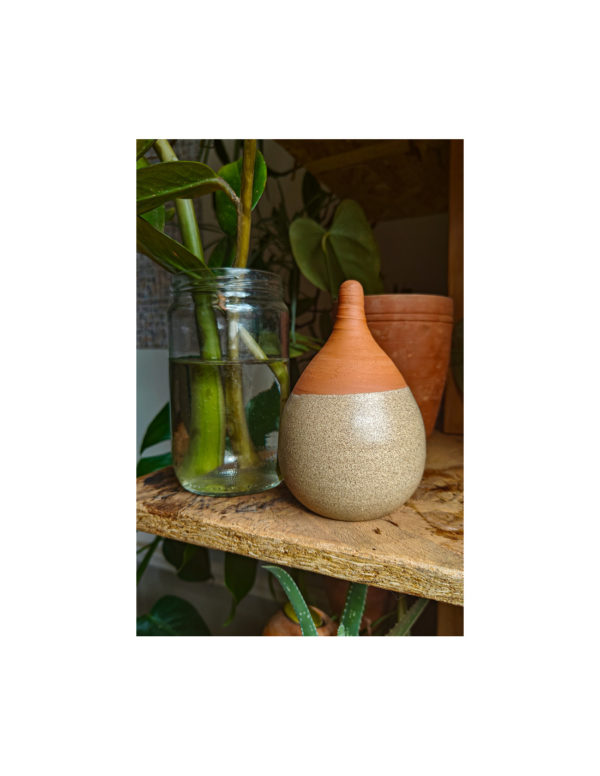 Oyas à planter colorée PRALINE – Image 3