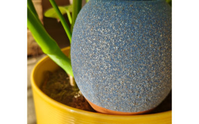 🔥 Oyas-Suisse arrive sur QoQa le 8 mars à 12h00