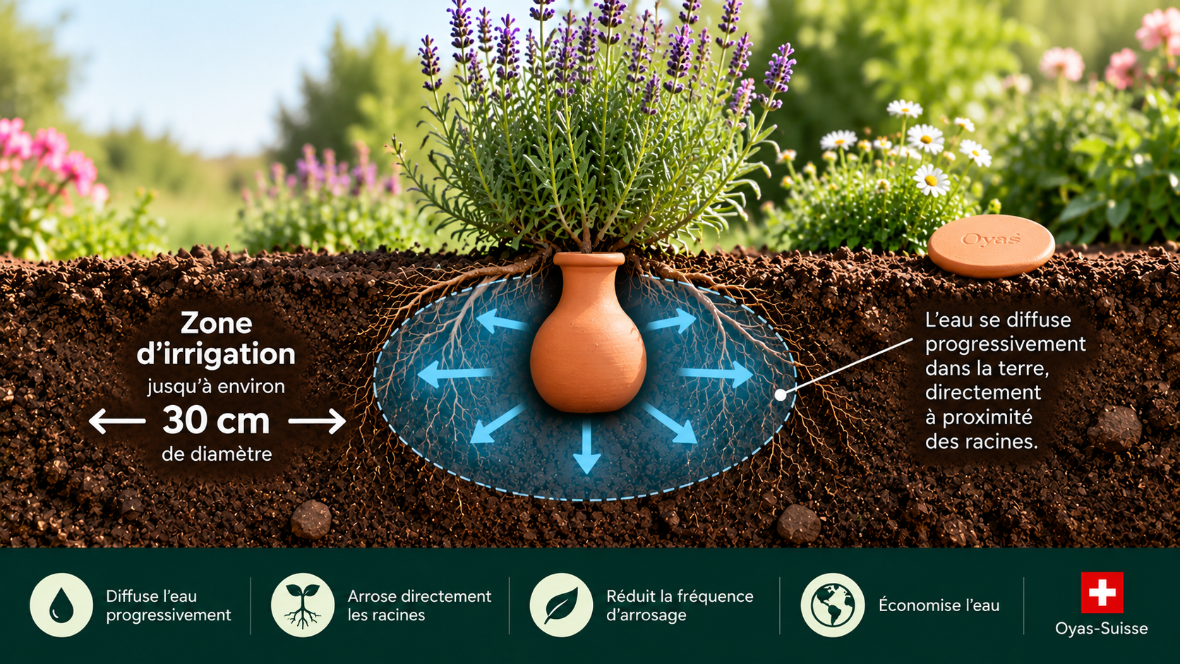 Oyas à enterrer Small 0,3 litre - zone d'irrigation jusqu'à environ 30 cm de diamètre